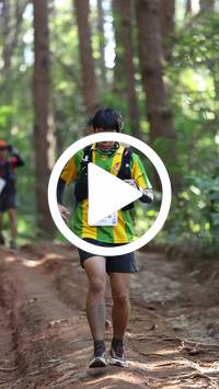 BIB:  <button type="button" onclick="openModal(26569706)" class="btn btn-primary btn-sm float-right" data-toggle="modal" data-target=".modal-high-quality">
                <i class="fa fa-download"></i> Download
                </button>